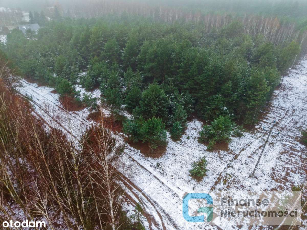 Działki budowlane po 1500 m² – Dąbrówka-5