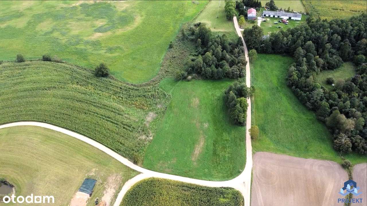 Na sprzedaż siedlisko + ziemia rolna; 5,25 ha, gm. Bargłów Kościelny-4