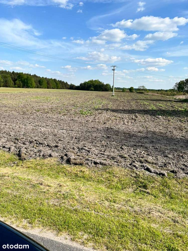 Działki budowalne przy lesie/WZ na 4 domy/ Przybyłów/Galewice-3