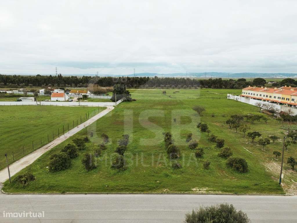 Terreno no Porto Alto - Possível Permuta-11