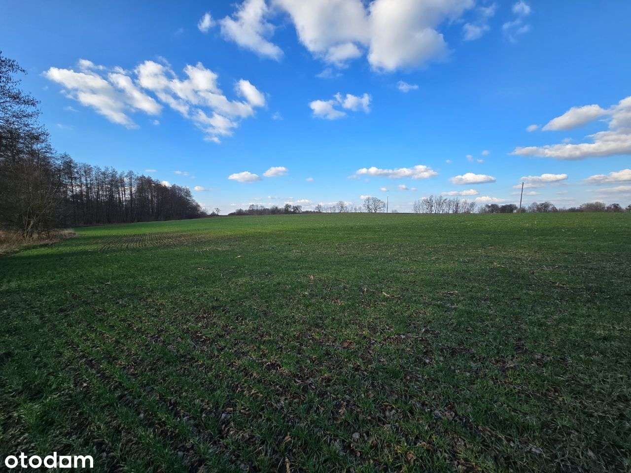 Działki w Jarosławkach 2 z 8szt po 50zł/m2-4