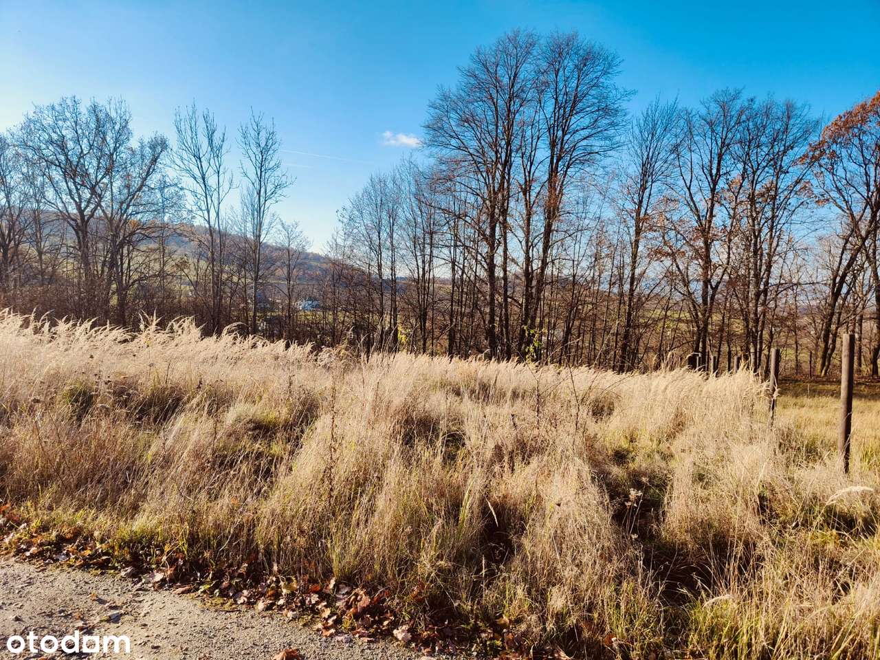 Działka budowlana z prądem i wodociągiem 5 km od Kłodzka - Pełny obrazek: 5/6