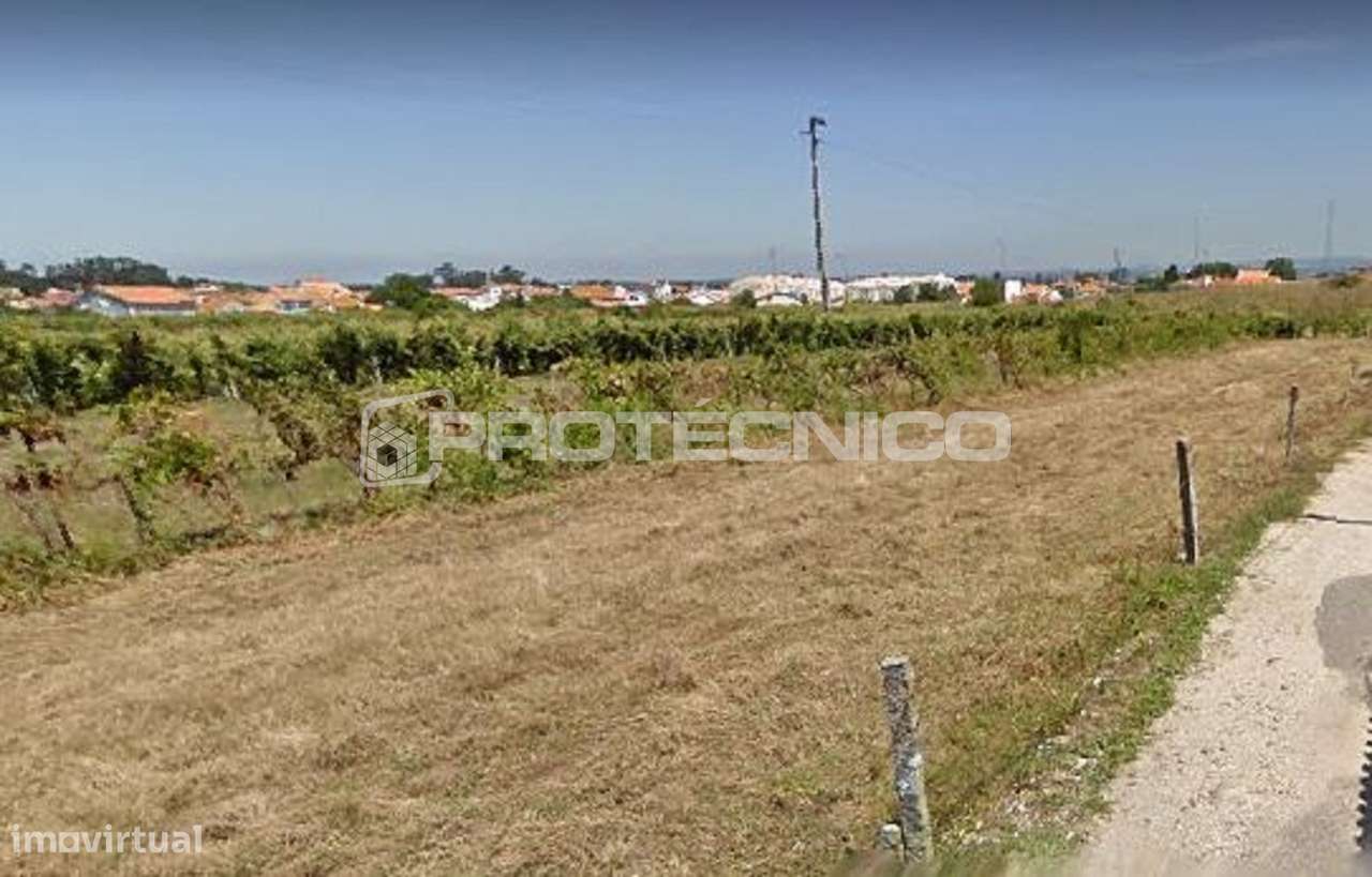 Terreno c/ 3.000m2 - Cacia - Grande imagem: 3/4