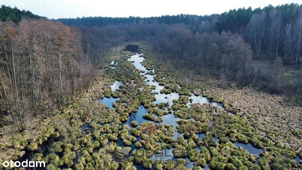 Urokliwe 10,19 hektara, las, rzeka, pola, Brzozowa