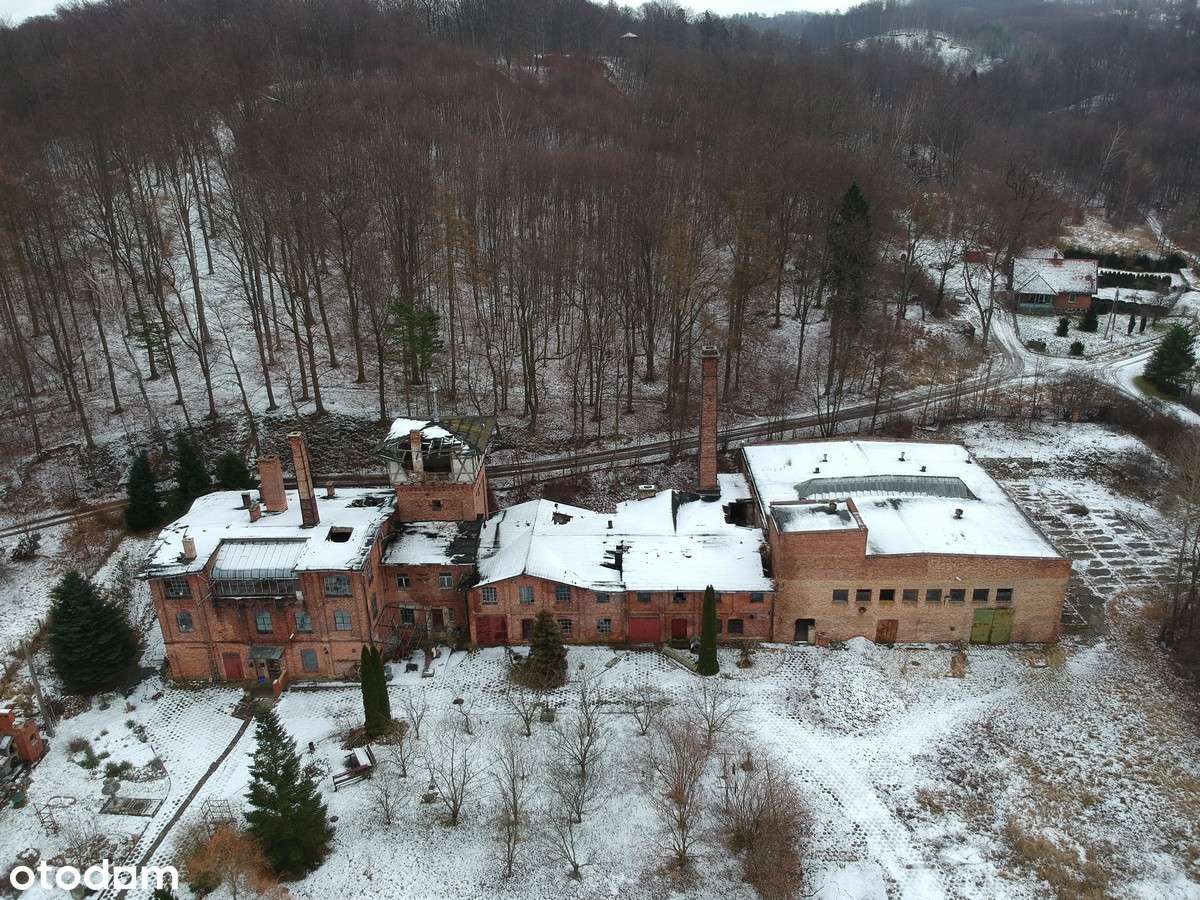 Na sprzedaż cegielnia Kadyny - Pełny obrazek: 2/13