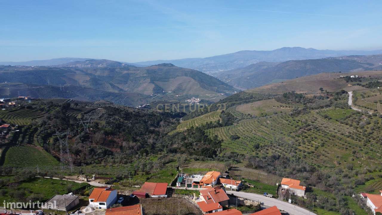 Quinta no Alto Douro Vinhateiro com Projeto Turístico Aprovado-33