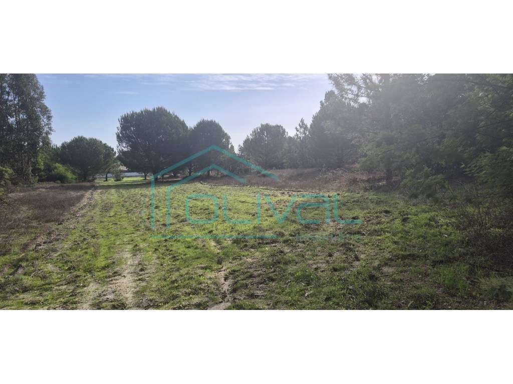 Terreno Foros da Charneca - Grande imagem: 5/12