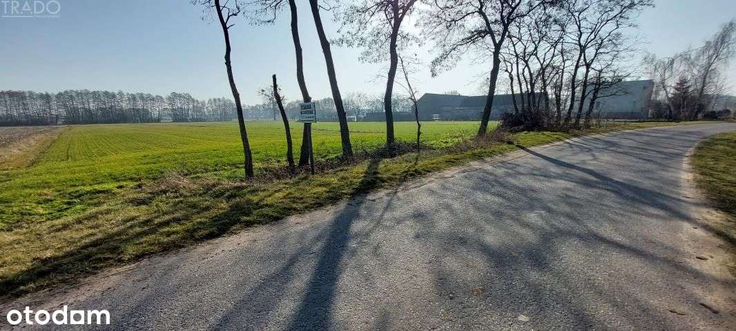 Duża działka Słupca, Marcewek - Pełny obrazek: 4/6