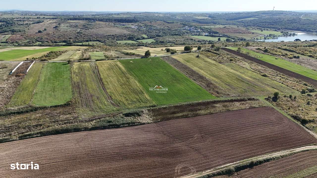 NECTORA IMOB-Teren Saldabagiu de Munte, aproape de Lac Paleu, 2880mp - Imagine principală: 4/12