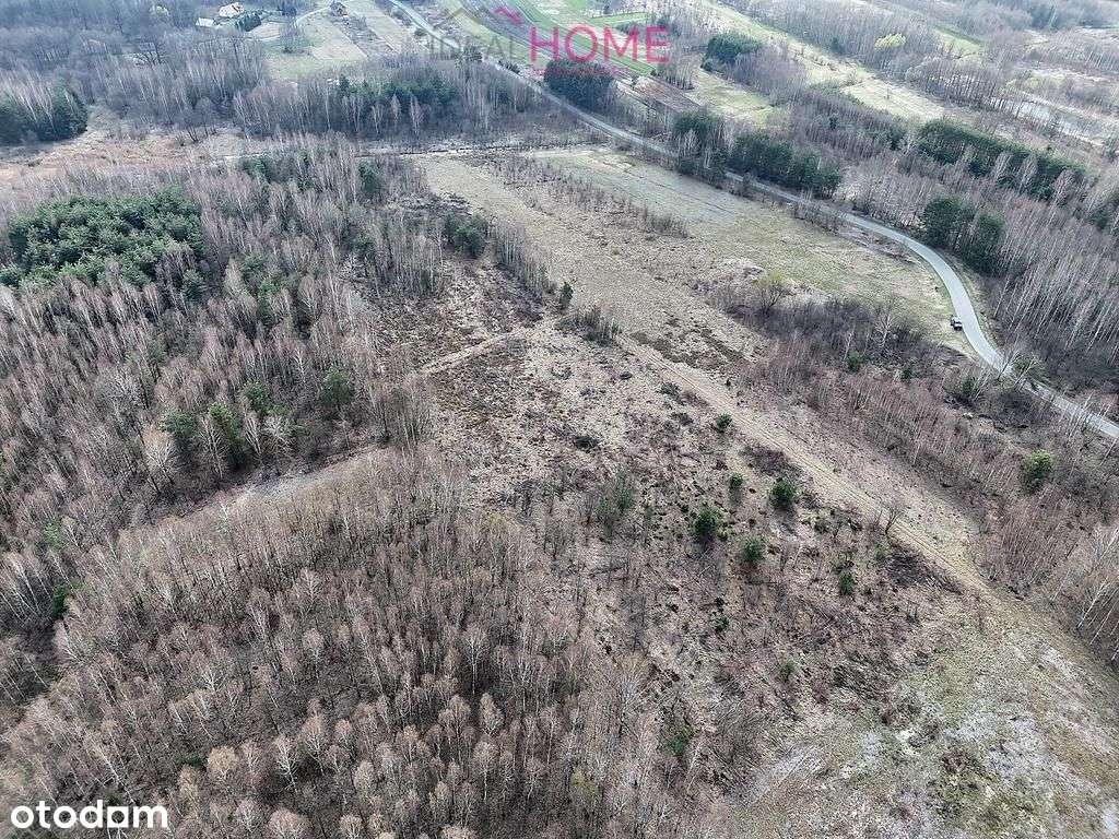 Sprzedam działkę 3,53ha - Krzątka obok Nowej Dęby - Pełny obrazek: 4/16