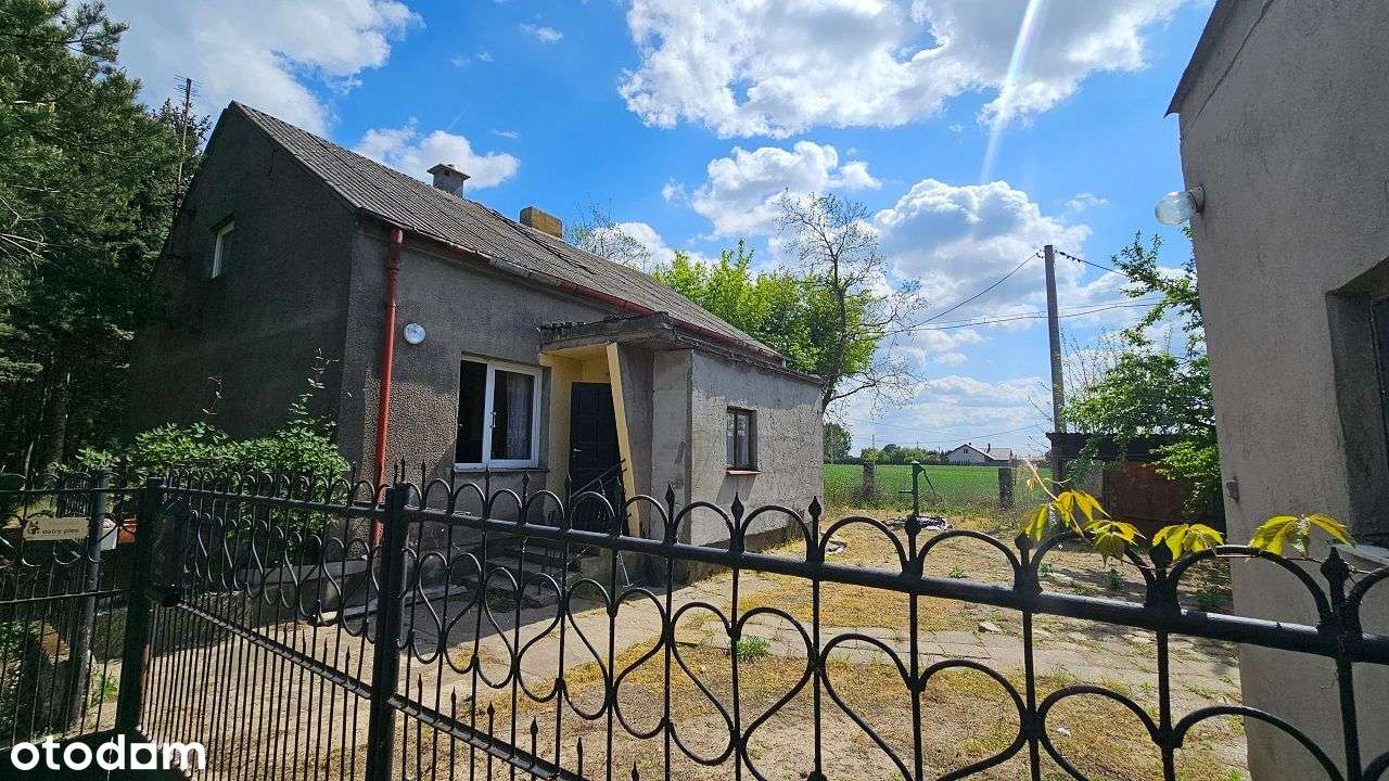 Siedlisko z potencjałem – Piotrków Kujawski, możliwość podziału-11