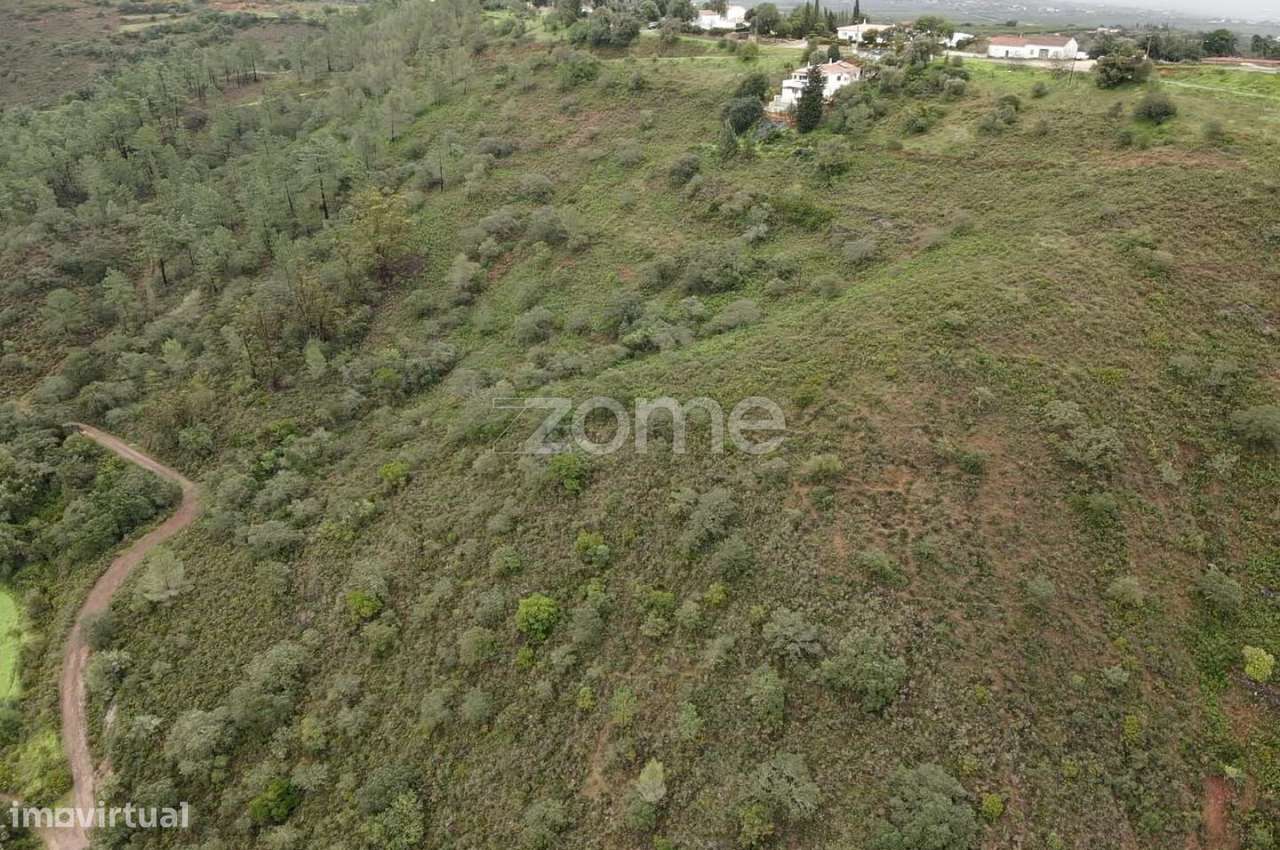 Dois Terrenos Rústicos c/ 4.680m2 em Ladeira da Cumeada - Grande imagem: 4/17