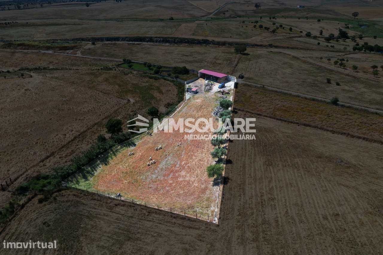 Quintinha - Aivados, Castro Verde - Grande imagem: 5/12