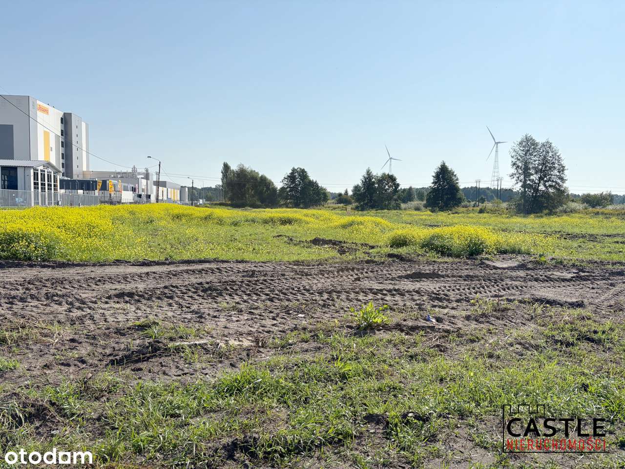 Duży teren inwestycyjny  pod halę lub centrum logistyczne-2