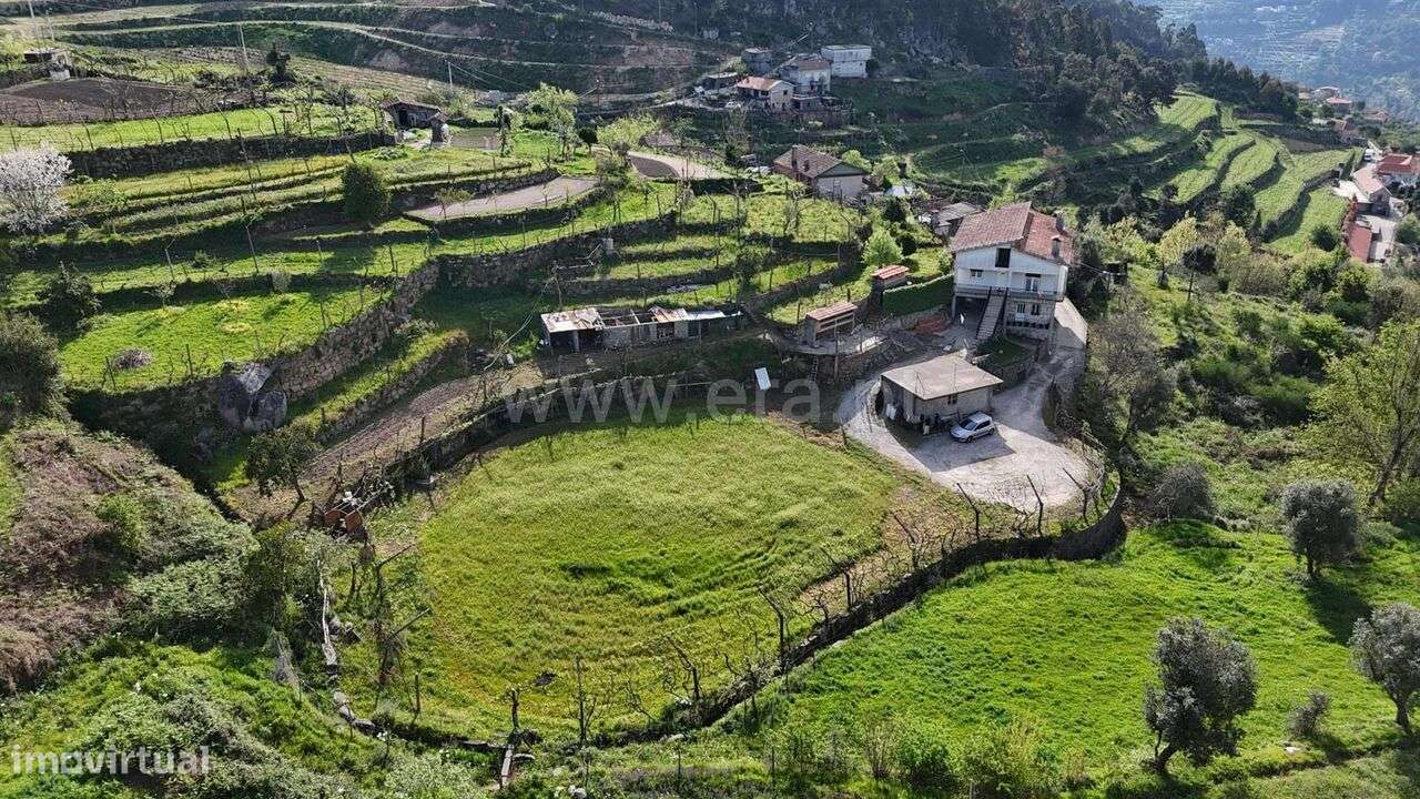 Quintinha T3 / Marco de Canaveses, Penhalonga - Grande imagem: 5/7