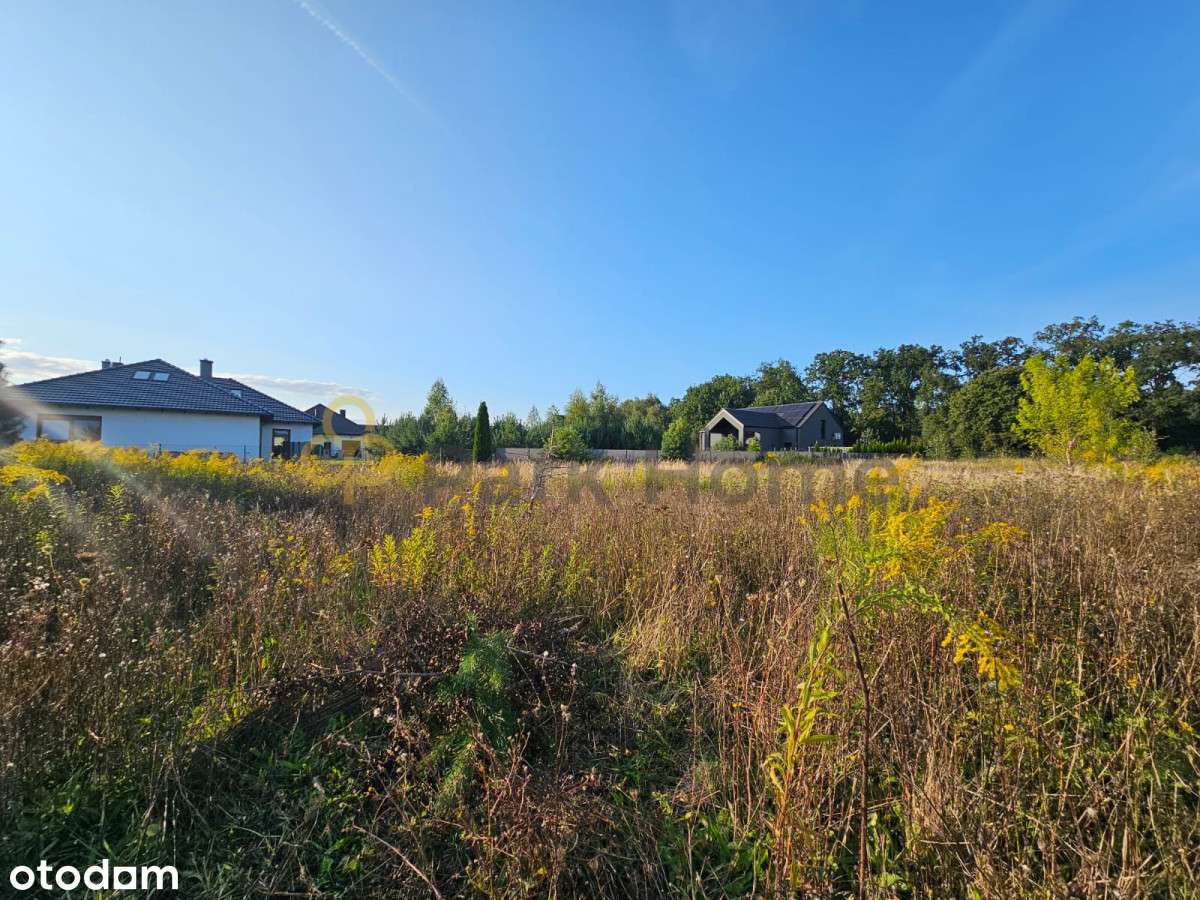 Działka w Zbrudzewie - blisko lasu I  Mpzp !!  I - Pełny obrazek: 3/8