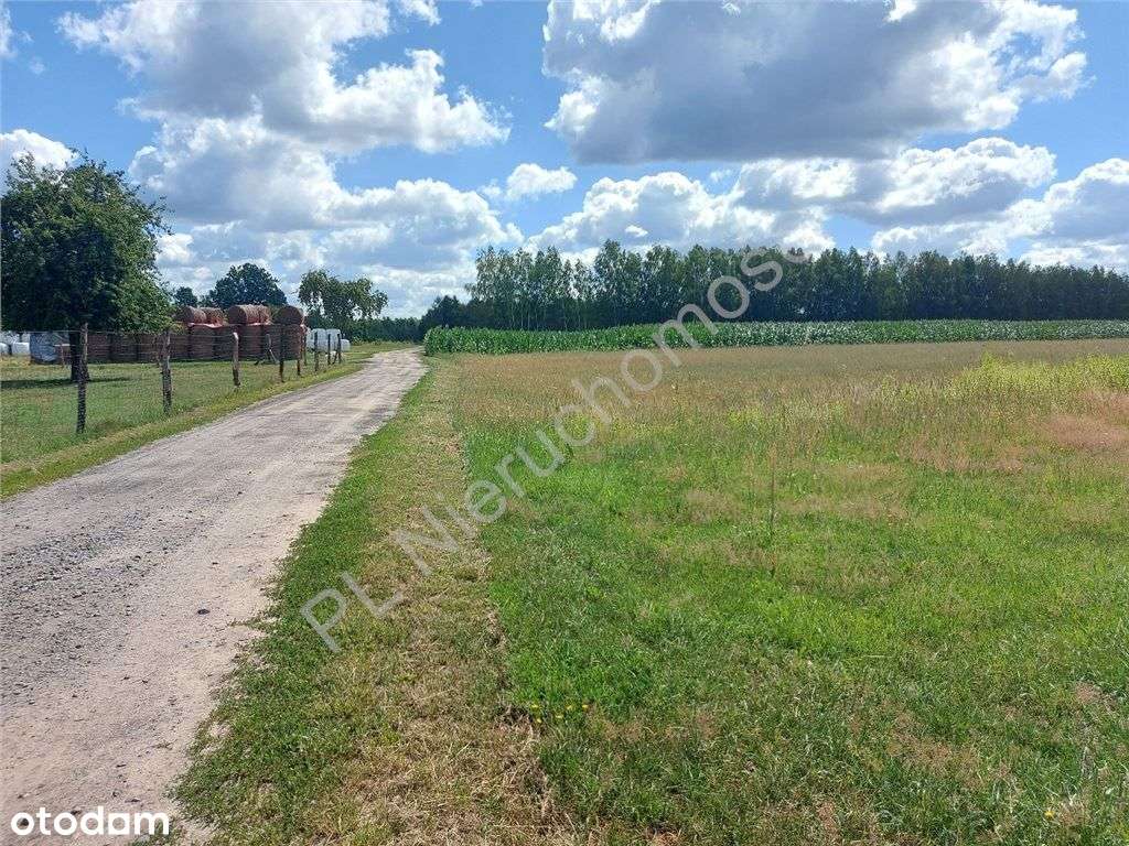 Działka rolna na uboczu dla "Ogrodnika" - Pełny obrazek: 5/9