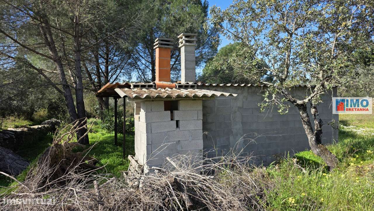 Quintinha em Benquerenças a 10 minutos de Castelo Branco - Grande imagem: 4/15
