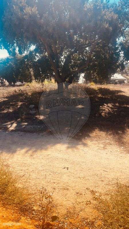 Terreno  para venda - Grande imagem: 4/5