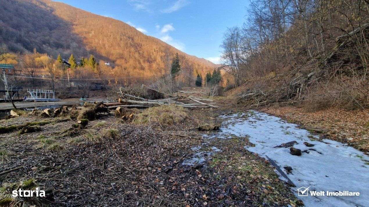 Teren Intravilan de Vanzare – 3279 MP – Coada Lacului Tarnita - Imagine principală: 5/6