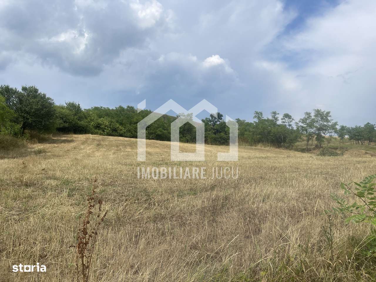 Teren Intravilan Constructrii 2258mp - Gadalin - Imagine principală: 4/6