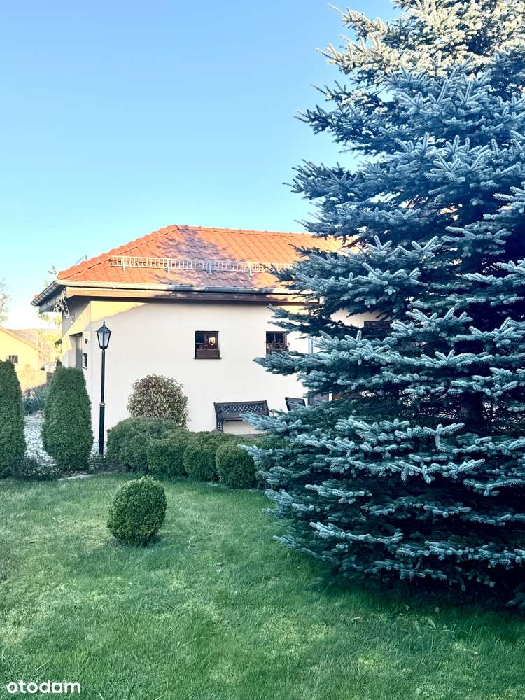 Wojcieszyce-parterowy dom wolnostojący na dużej działce, fotowoltaika - Pełny obrazek: 4/19