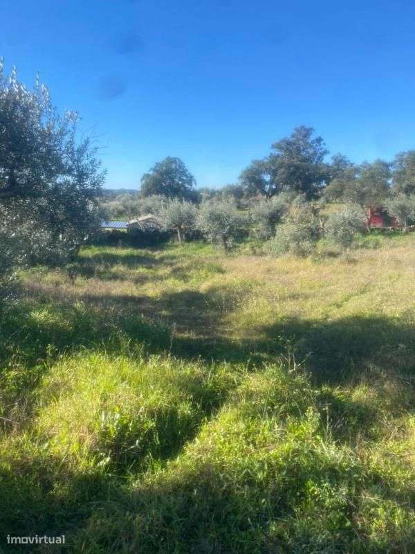 Terreno - Grande imagem: 5/5