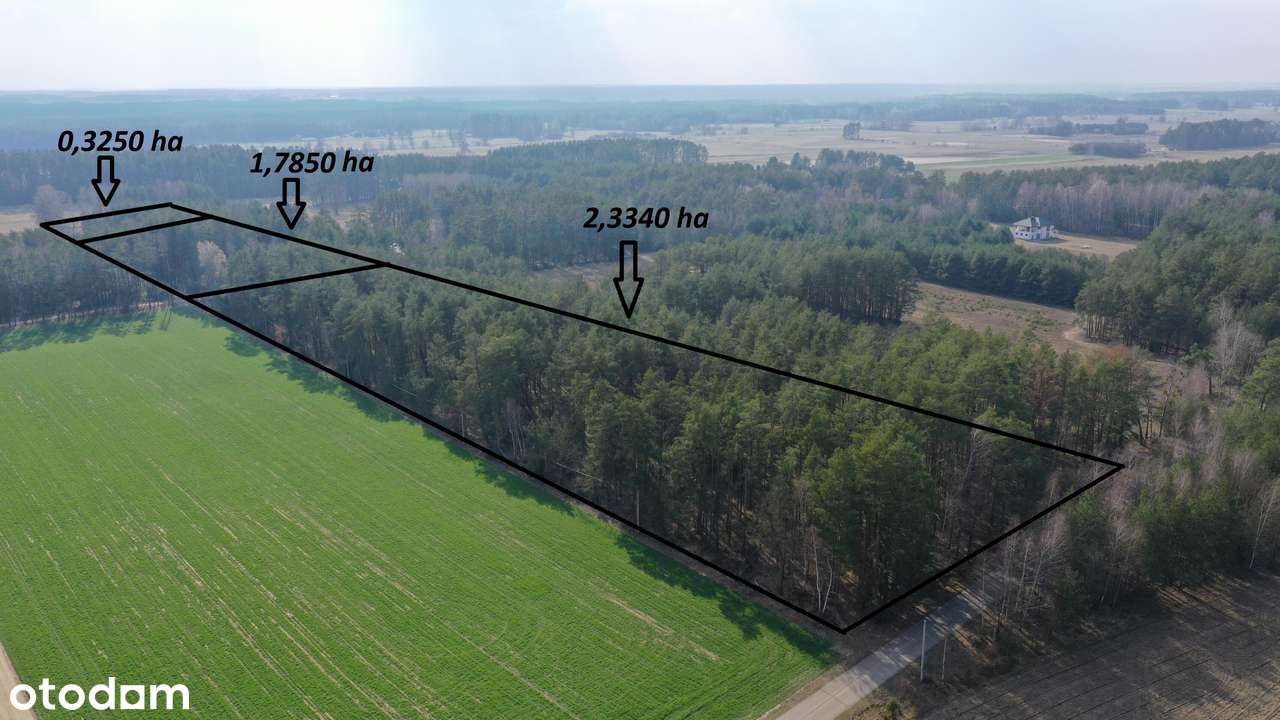 Klimatyczne siedlisko z własnym lasem - Pełny obrazek: 5/8