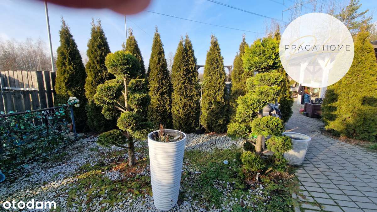 Dom Sulejówek Warszawa działka - Pełny obrazek: 4/5