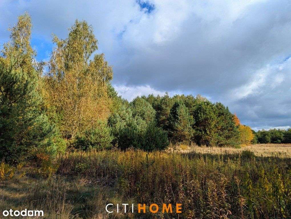 Malownicza działka siedliskowa 1,95 ha – Czarnowie-5