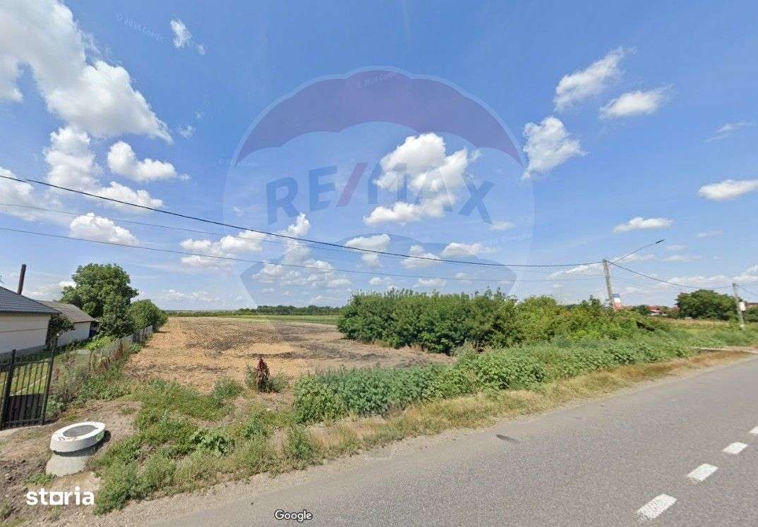 Teren 19,100mp Secuienii Noi / None - Imagine principală: 4/4