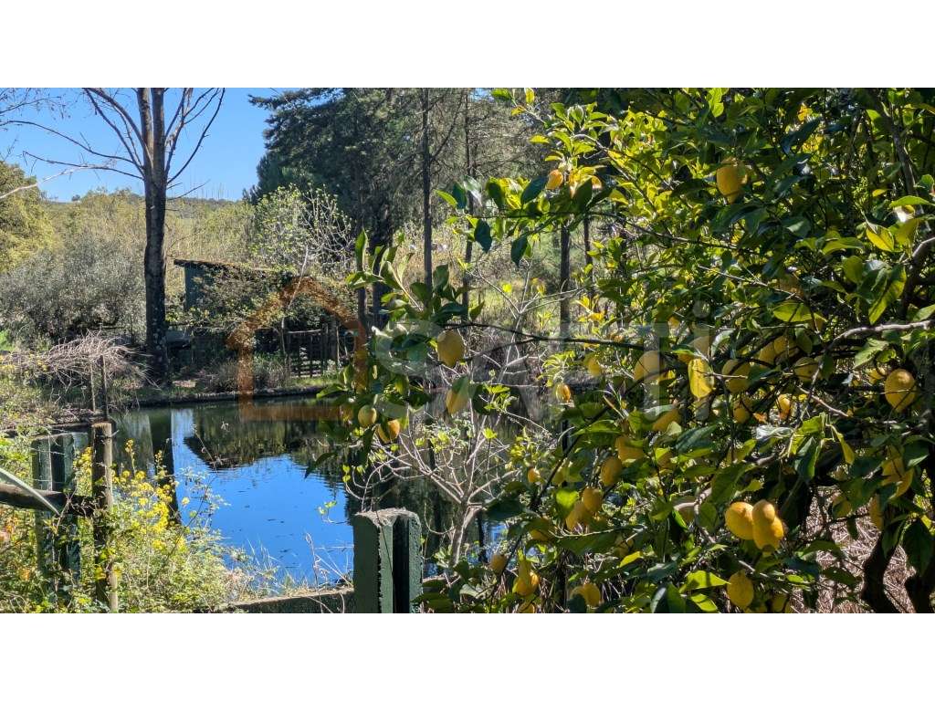 Quinta em Santarém - Grande imagem: 4/47