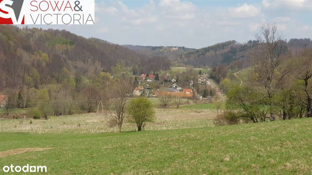 widokowa działka z warunkami zabudowy, Góry Sowie - Pełny obrazek: 5/11