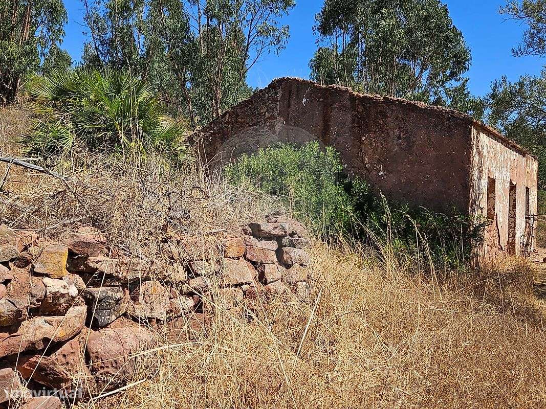 Quinta  para venda - Grande imagem: 4/19