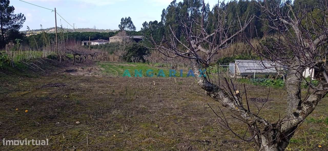 ANG1343 - Terreno para Venda em Cortes, Leiria - Grande imagem: 4/8