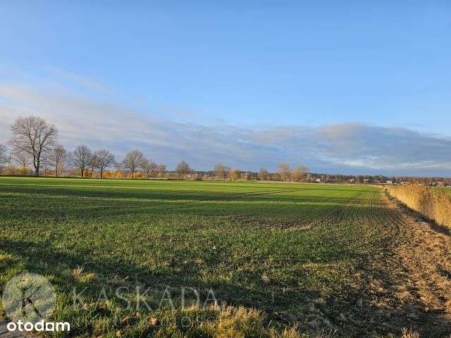 Piękne działki 4620 m2 Sztutowo Polecam! - Pełny obrazek: 5/8