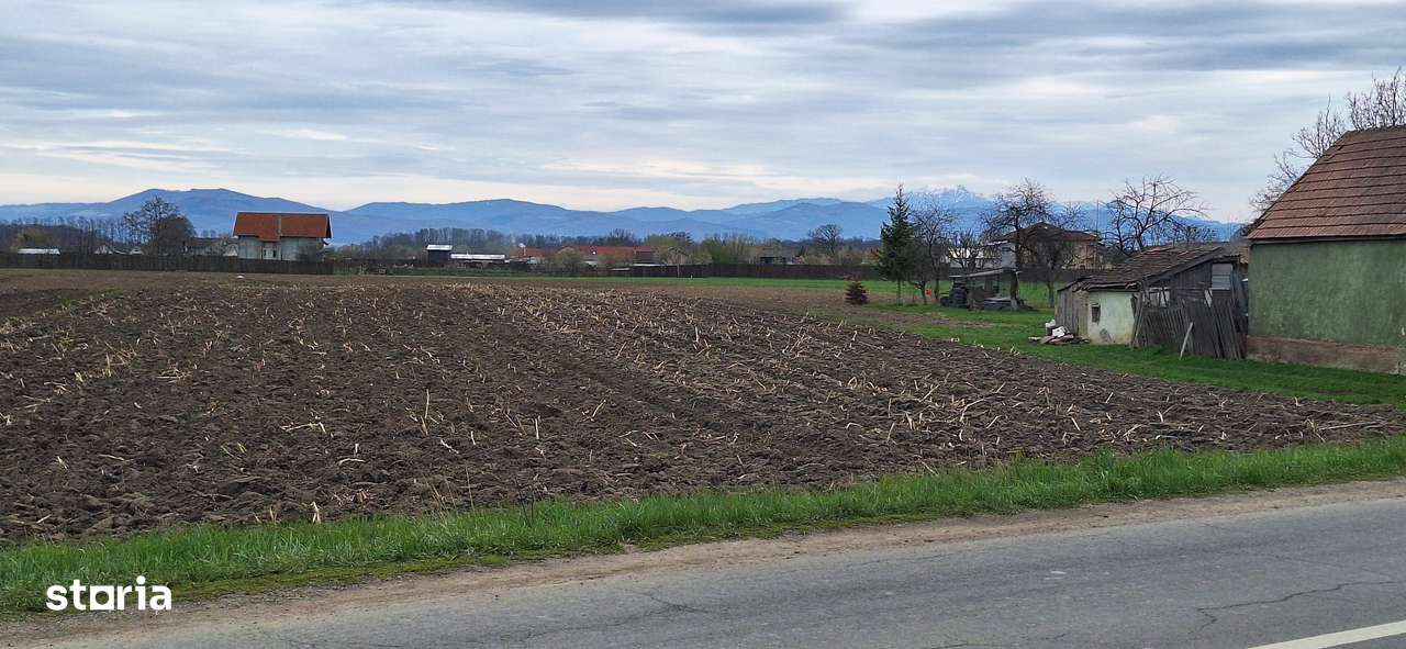 Teren intravilan pentru case in centrul Podu Oltului de 5700mp, 28 Eur - Imagine principală: 4/8