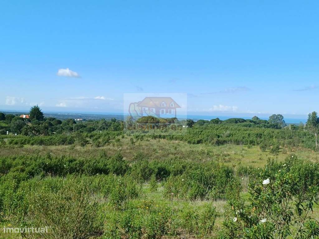 Pronto a construir - PROJECTO APROVADO e vista mar-15