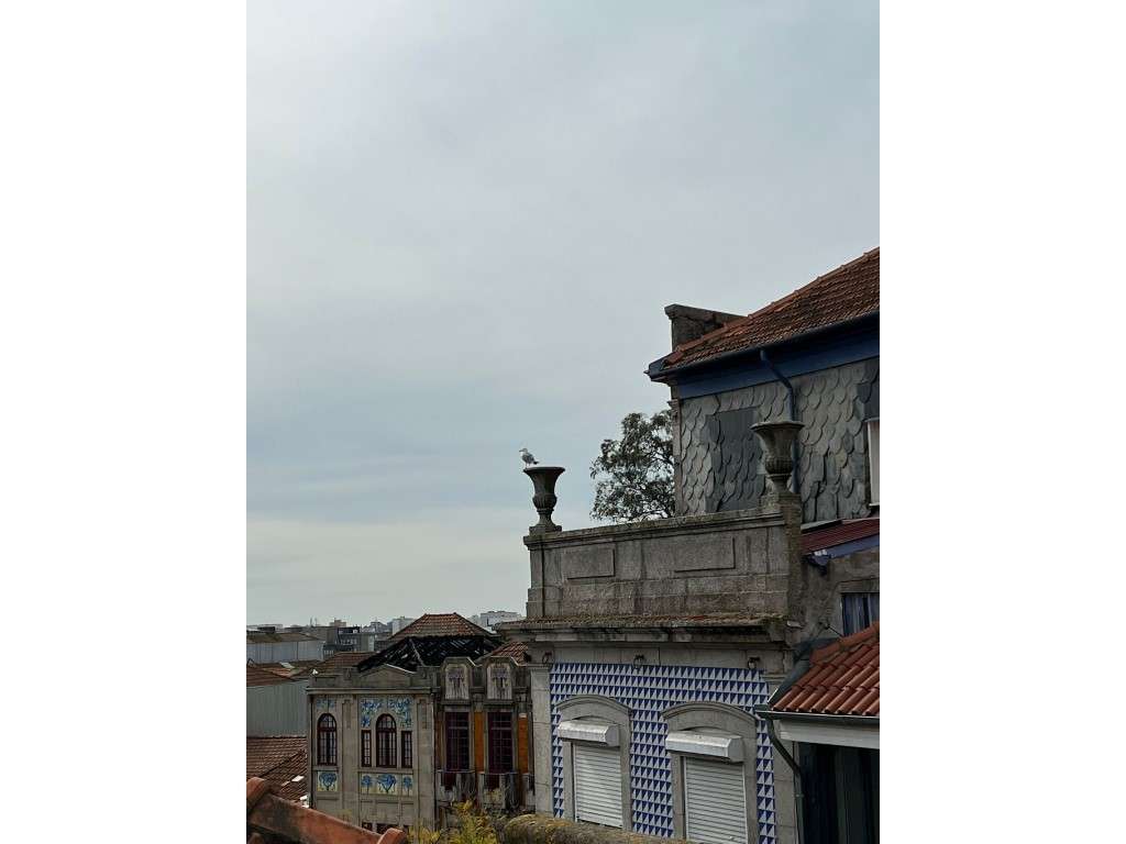 Prédio para reabilitação | 4 Pisos | 6 apartamentos | Loja | Cedofe... - Grande imagem: 4/20