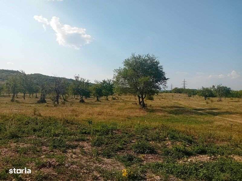 15000 mp extravilan - Imagine principală: 5/7