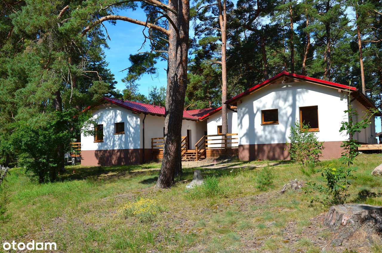 Apartamenty nad jeziorem Wdzydze 92 metry do wody !-14