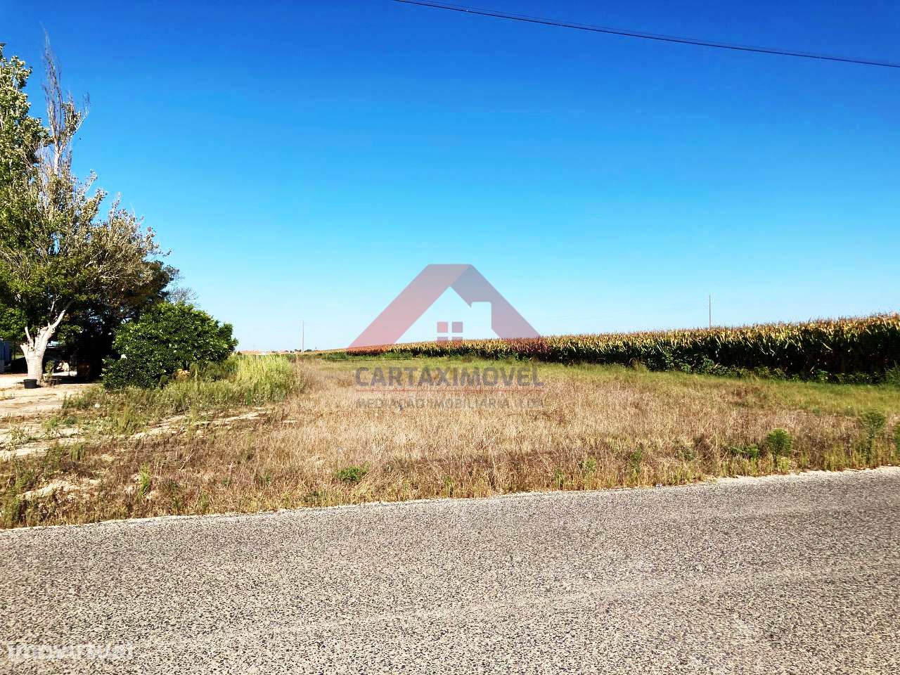 Terreno Urbano  Venda em Salvaterra de Magos e Foros de Salvaterra,Sal - Grande imagem: 2/6