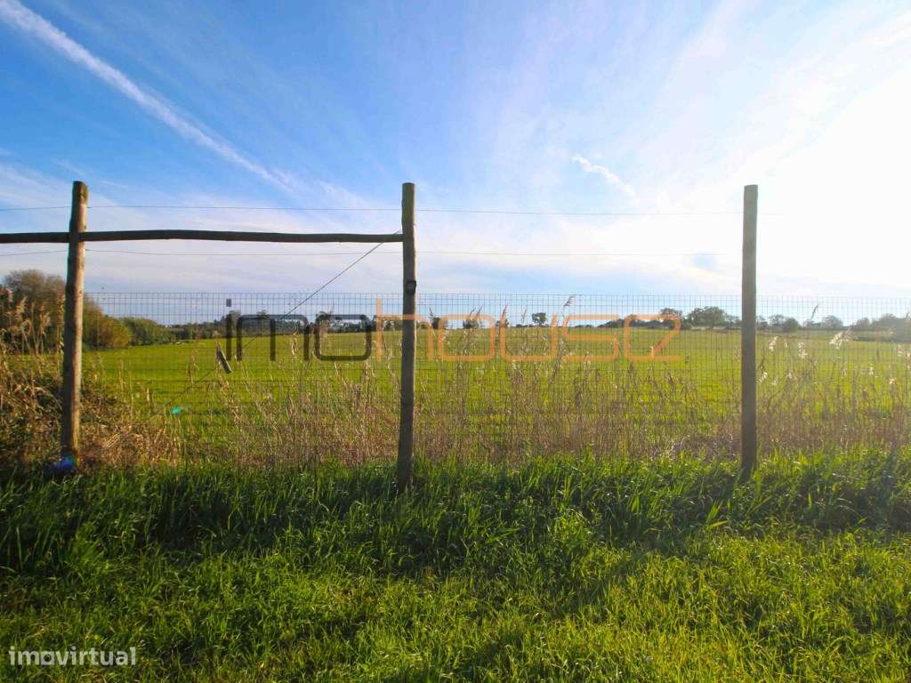 Quinta de 3,24ha - A 5min. Montemor-o-Velho-8