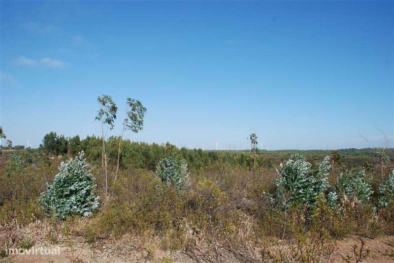 TERRENO RÚSTICO PRÓXIMO DA PEDRALVA - Grande imagem: 5/16