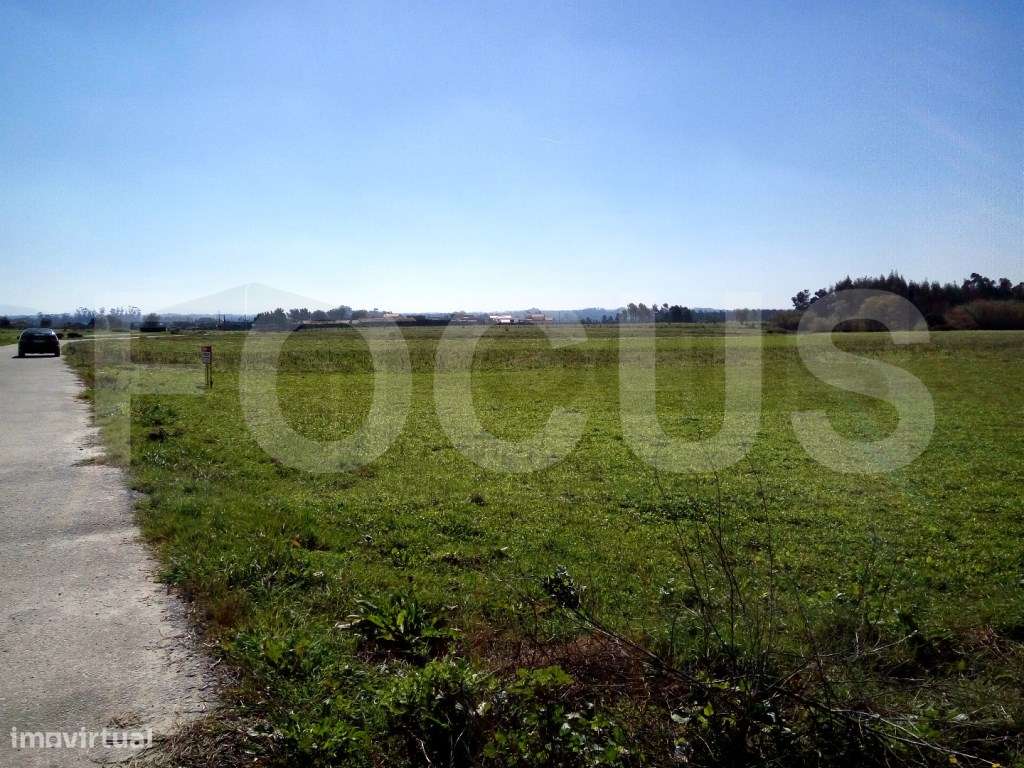 Terreno Rústico - Grande imagem: 5/5