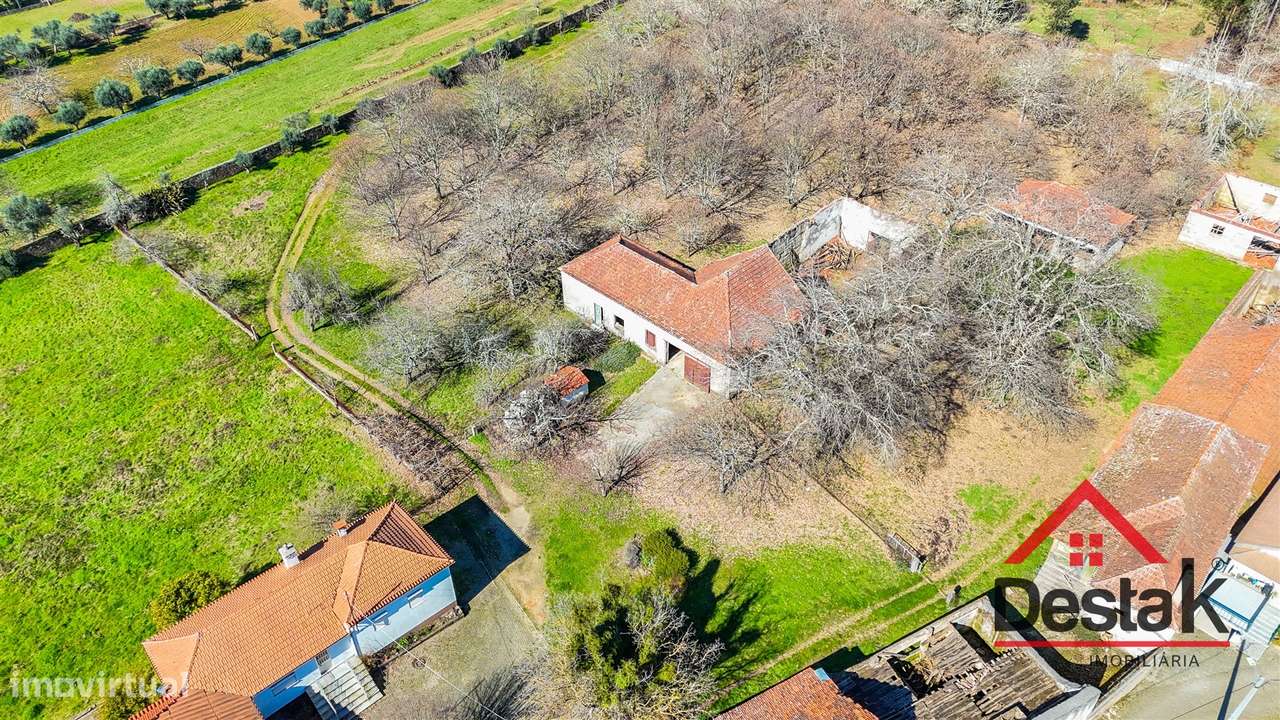 Quinta T6 com 10.500m² de terreno para venda no Sátão - Grande imagem: 4/33