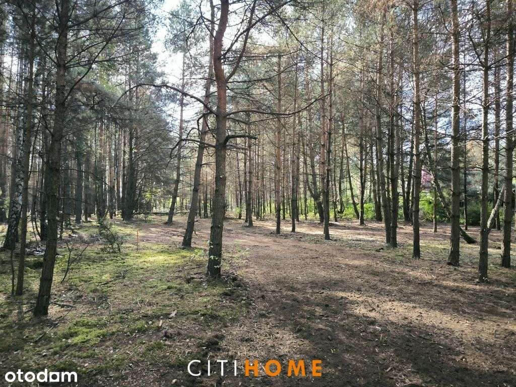 Działka pod lasem w Malcanowie 1.300m2 - Pełny obrazek: 5/10