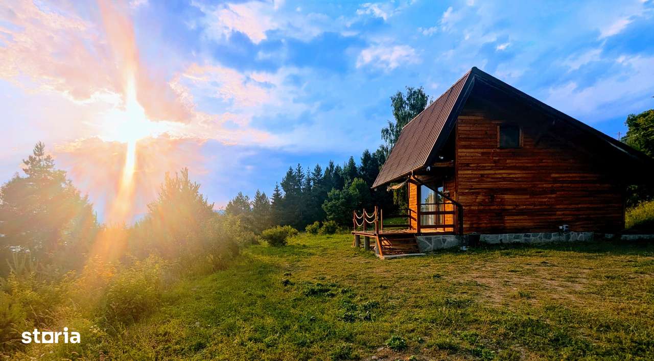 Cabana situată pe un teren de 8.638 mp, cu pădure (intra&extravilan). - Imagine principală: 4/16
