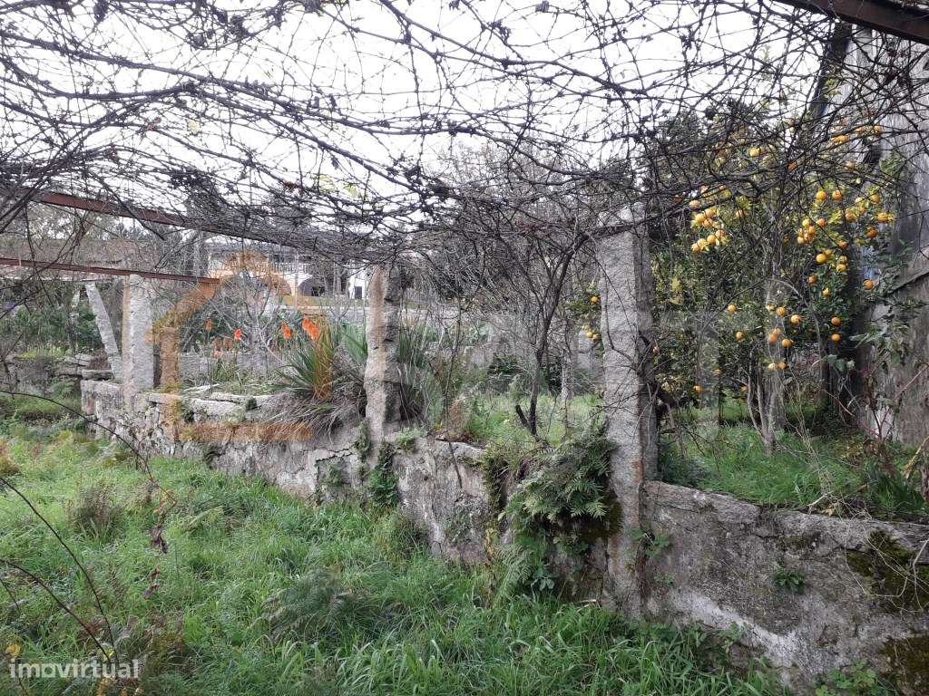 CASA ANTIGA PARA RESTAURO - Grande imagem: 4/4