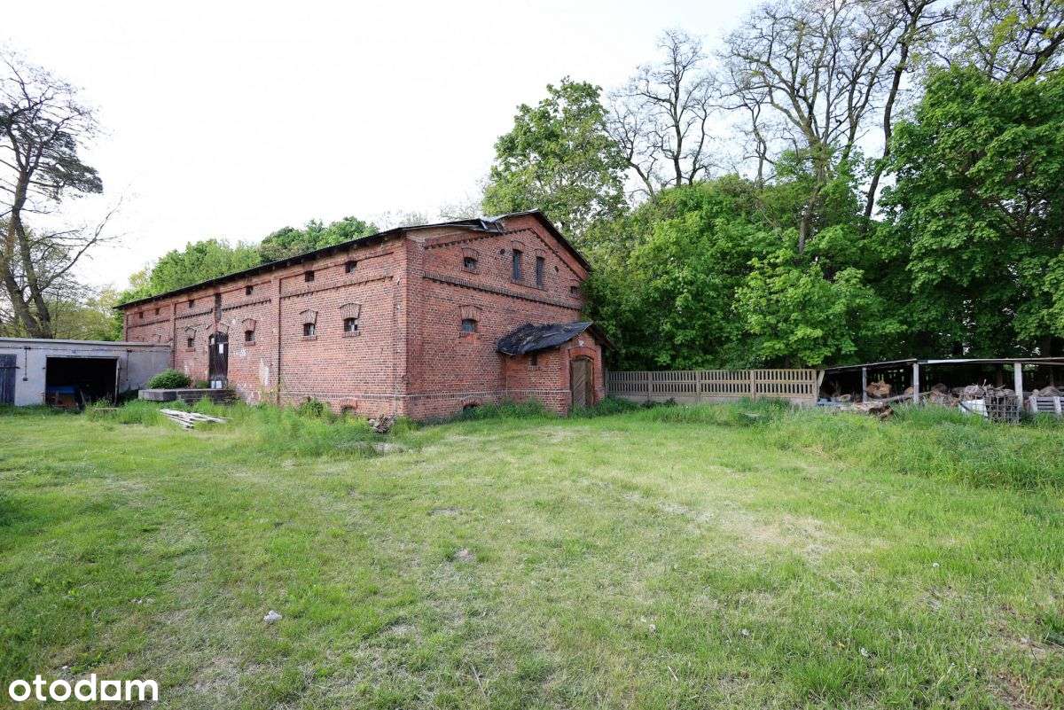 Recykling plastiku i przetwarzanie odpadów-9